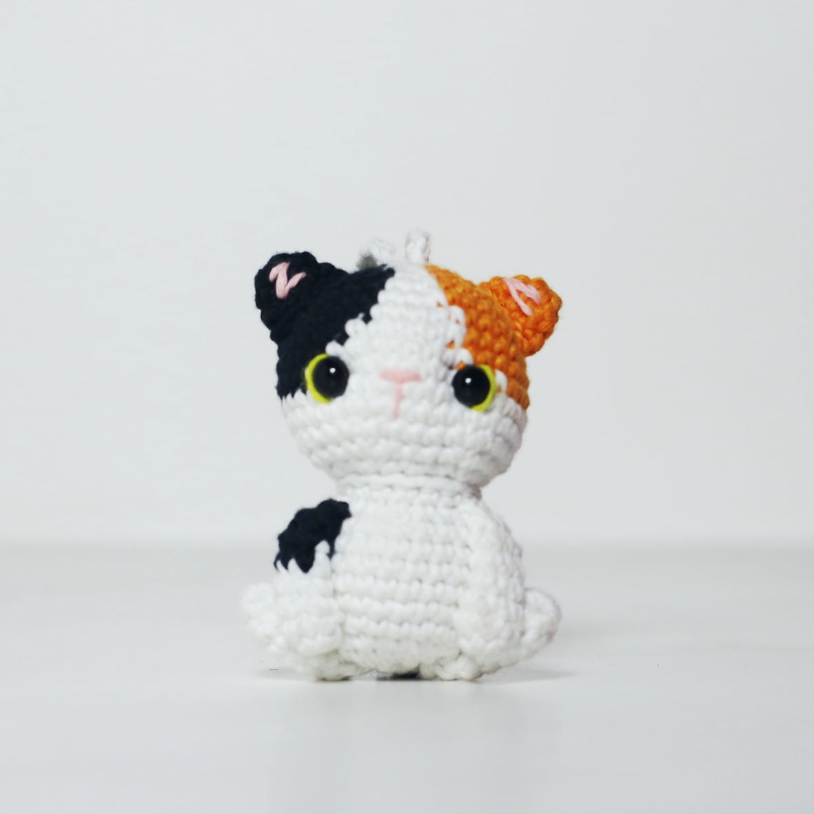 CALICO CAT