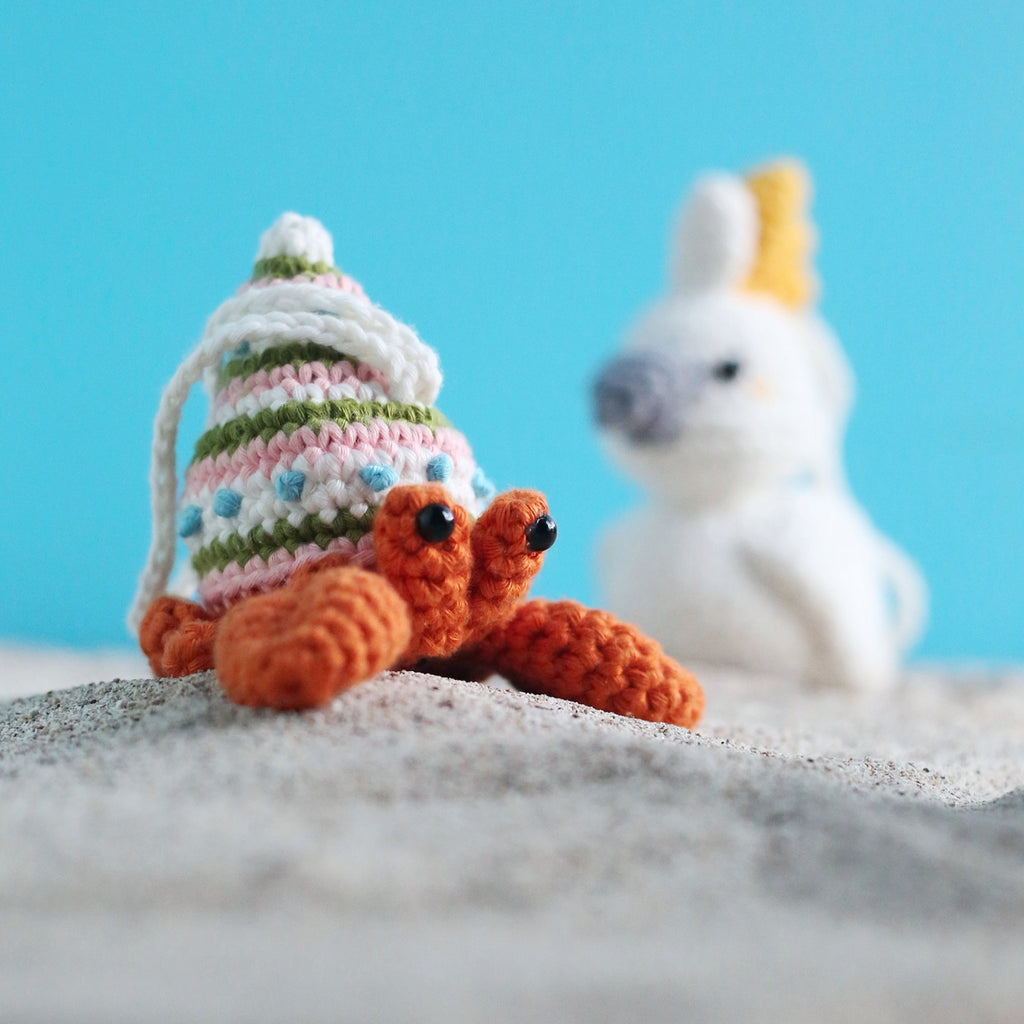 HERMIT CRAB
